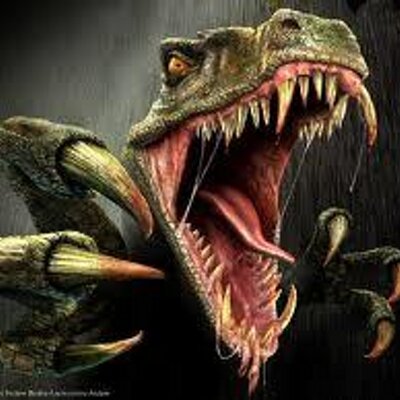 Profile Picture of Jeremy Chevalier (@ShadowWolf07) on Twitter