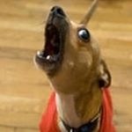 Profile Picture of Zachary Zeller (@its_yo_boy_wiggletoes) on Instagram