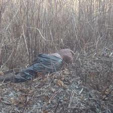 Profile Picture of Michael Luscher (@mikeluscher159) on Twitter