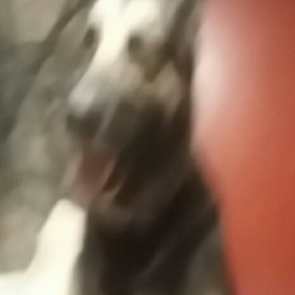 Profile Picture of Justin Howell (@money5656) on Poshmark