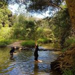 Profile Picture of Jessica Zappala (@zappalajessica) on Instagram