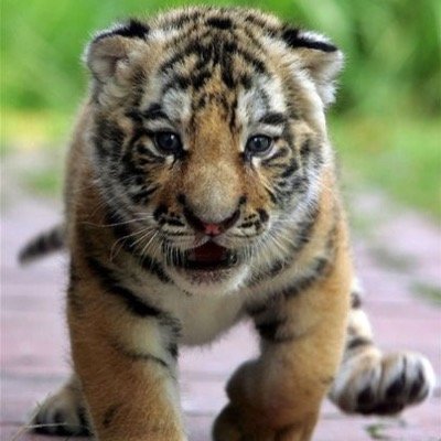 Profile Picture of Jude Roberts (@juderoberts8) on Twitter