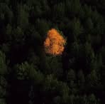 Dunia Lazo - Facebook Profile Picture of Dunia Lazo (@dunia.lazo.2025) on Facebook