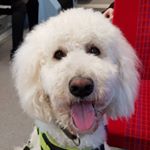 Profile Picture of Charles 화섭 Lee (@hscharles) on Instagram