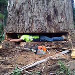 Profile Picture of Andrew Milliken (@andrewrmilliken) on Instagram