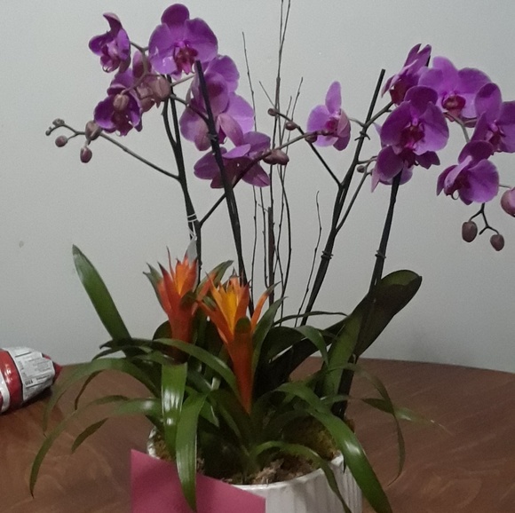 Ruby Mccormick - Poshmark Profile Picture of Ruby Mccormick (@rubmcc999) on Poshmark