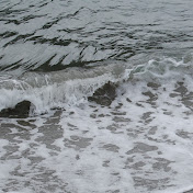 Profile Picture of Hayley Semkiw (@hayleysemkiw9334) on Youtube