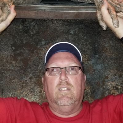 Profile Picture of Bill Colvin (@themeparkthrill) on Twitter