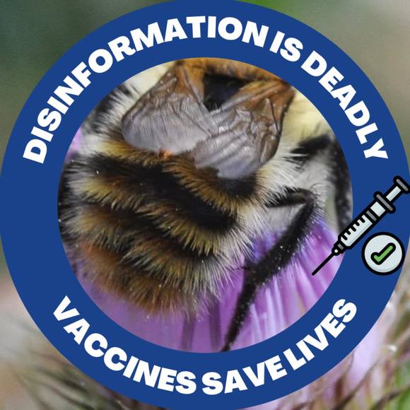 Profile Picture of Phyllis Carver (@kudzubelle63) on Poshmark