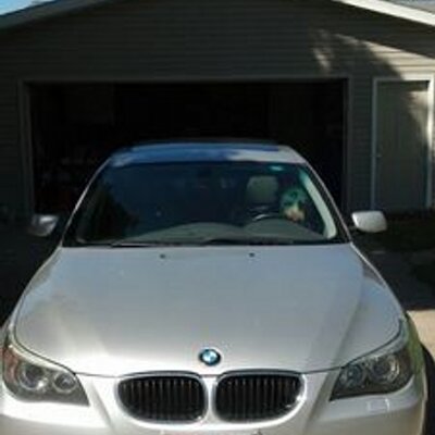 Profile Picture of Joe Hamer (@hamer_joe) on Twitter
