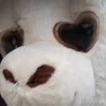 Profile Picture of Benjamin Wagner (@bens_spam05) on Instagram