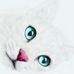 Profile Picture of Kennith Gorton (@kennith.gorton.397) on Facebook