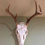 Profile Picture of Mark Shires (@mark_shires) on Instagram