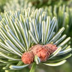 Jeremy Dolly - Facebook Profile Picture of Jeremy Dolly (@Jeremy-Dolly) on Facebook