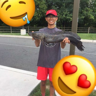 Profile Picture of Curtis Lam (@BigDadiCurt) on Twitter