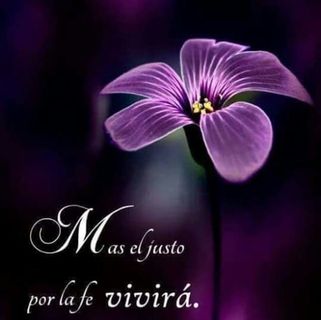 Profile Picture of Norma Arriague (@david.aramayo.1865) on Facebook