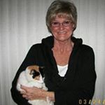 Profile Picture of Dee Cobb (@cobbdee) on Instagram