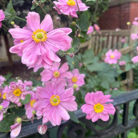 Profile Picture of Alex Rodrigue (@alexrodriguez37) on Poshmark