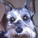 Profile Picture of Linda Simmons (@lindasim) on Pinterest