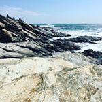 Profile Picture of David Shapiro-Zysk (@providencedemocracyproject) on Instagram