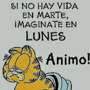 Profile Picture of Jose Corrales (@josecorrales3325) on Youtube