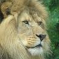 Profile Picture of Ariel Zeleznikow-johnston (@ariel-zeleznikow-johnston) on Quora