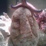 Profile Picture of Donald utterback (@donaldutterba) on Instagram