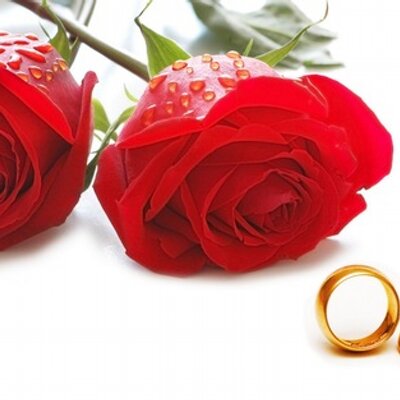 Profile Picture of Tison Andrew (@TisonAndrew) on Twitter