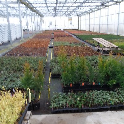 Profile Picture of Gary Naz (@ecofirepits) on Twitter