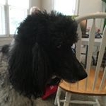 Profile Picture of Larry (@larryhiller.hhh) on Instagram