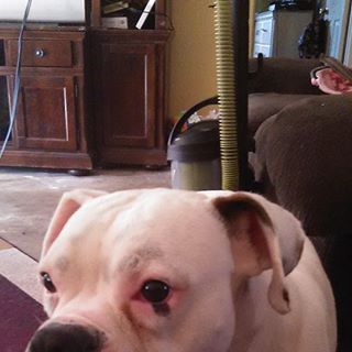 Profile Picture of Jacob Cogswell (@Jacob-Cogswell) on Facebook