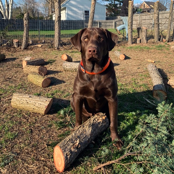 Profile Picture of Craig Ryan (@craigr0323) on Poshmark