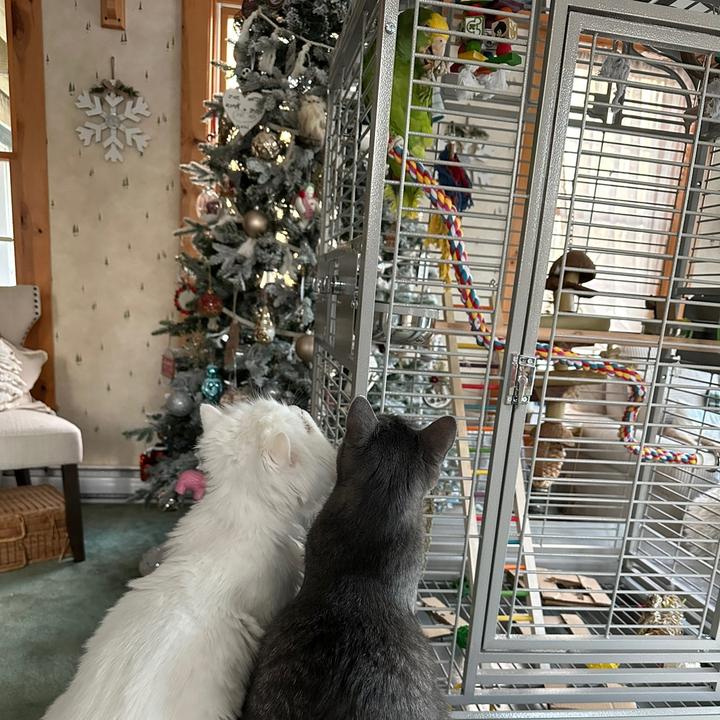 Profile Picture of Amy Wojtkowiak (@chupapiandthewojos) on Tiktok