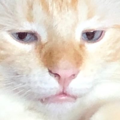 Profile Picture of Socrates Smart Boy (@socrate26171316) on Twitter