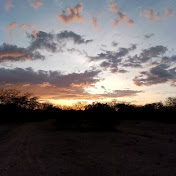 Profile Picture of Luis Neri (@LuisNeri-vw8sk) on Youtube