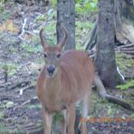 Profile Picture of Andrew Couturier (@Andrew-Couturier) on Facebook