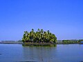 Profile Picture of Kumbalangion Wikipedia