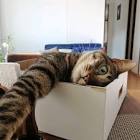 Profile Picture of   Sonia Rincón Rodrígu... (@soniatia0) on Tiktok