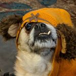Profile Picture of Chris Bleau (@5280bleau) on Instagram