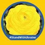 Marlene Lynn Romanoski - Instagram Profile Picture of Marlene Lynn Romanoski (@romanoski.marlene) on Instagram