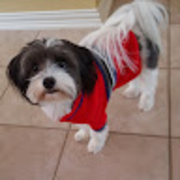 Profile Picture of Lynda Laferla (@lyndakaylaferla) on Poshmark