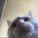 Profile Picture of Andrew Keziah (@akeziah64) on Pinterest