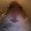 Profile Picture of   Ben Murdoch (@benmurdoch16)... (@benmurdoch16) on Tiktok