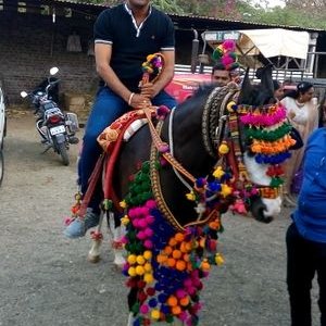 Profile Picture of Shailesh Pandya (@pandya9292) on Twitter