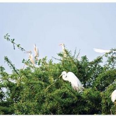 Profile Picture of Mohammad Khorshed Alam (@MdIntesharAlam) on Twitter