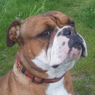 Profile Picture of Mirko Adam (@mirko.adam.96) on Facebook