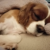 Profile Picture of Neil Hodge (@neilhodge2055) on Youtube