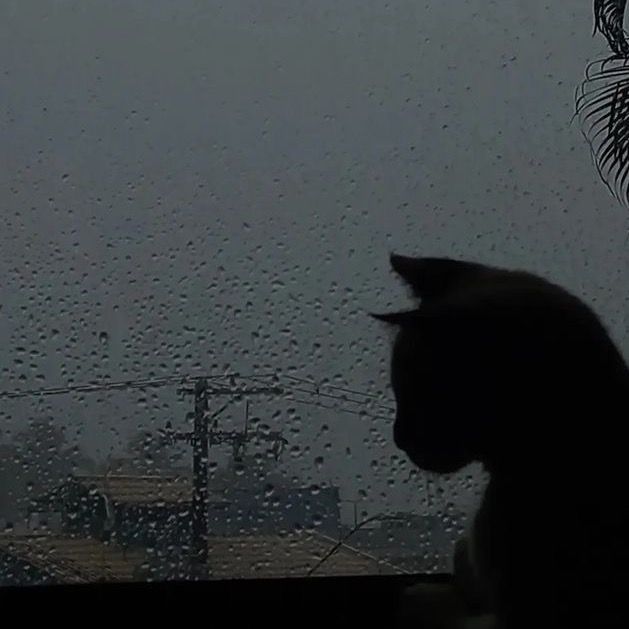 Profile Picture of Ahmad barakat (@abarakat24) on Tiktok