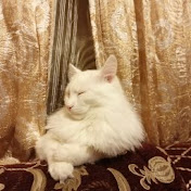 Profile Picture of Alexander Baranov (@alexanderbaranov8004) on Youtube