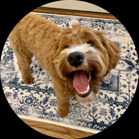 Profile Picture of Christie Reetz (@christiereetz) on Poshmark